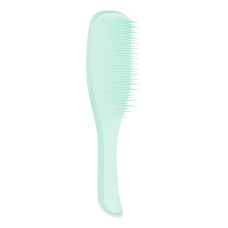 Щітка для волосся Tangle Teezer The Wet Detangler Fine & Fragile Sea Spray Green - купити по ціні 690 грн в Україні | MELANI