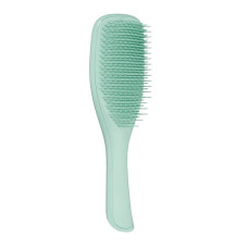 Щітка для волосся Tangle Teezer The Wet Detangler Fine & Fragile Marine Teal - купити по ціні 690 грн в Україні | MELANI